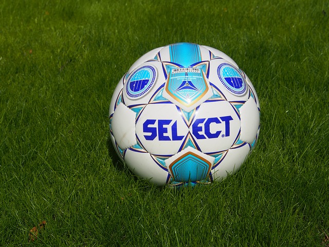 他们在近几 他们在近几