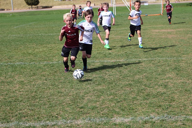 文化生态 文化生态