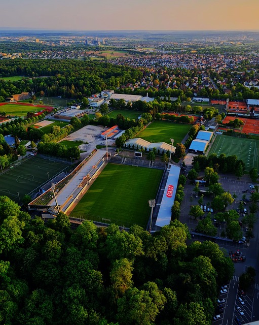 不僅增強了 不僅增強了