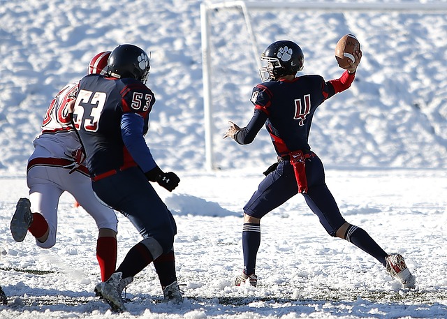 拜仁便采取 拜仁便采取