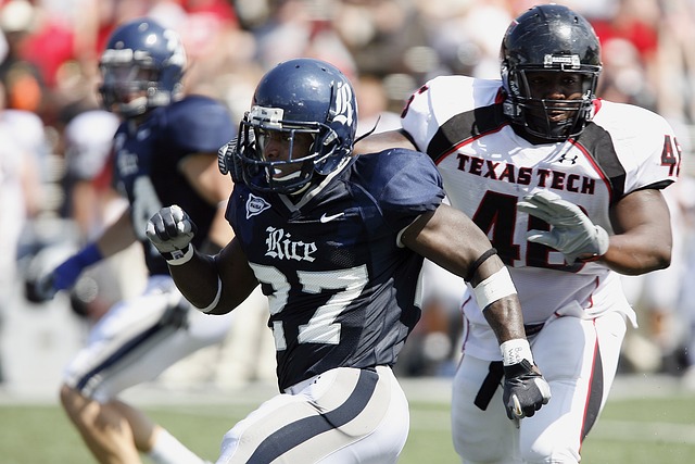 萊萬多夫斯 萊萬多夫斯