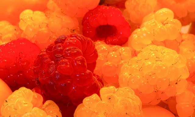 詹金斯的职 詹金斯的职