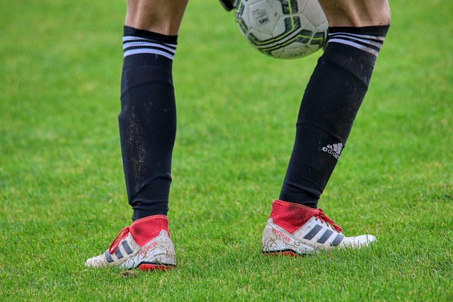 广州队展现 广州队展现